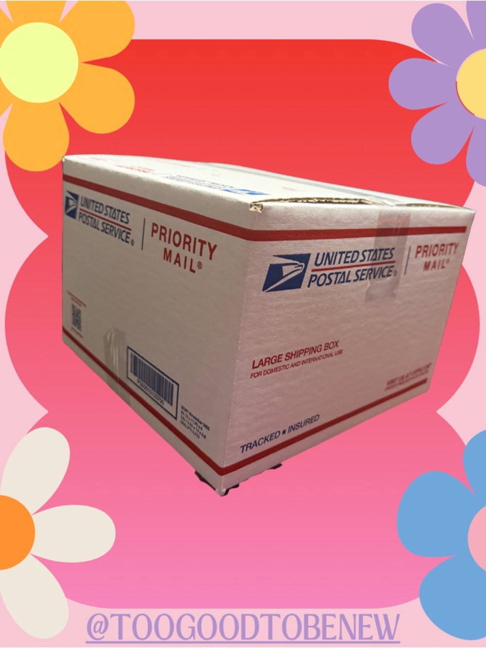 👠 4 Pair Shoe Mystery Bundle | 5 lb Shoe Box